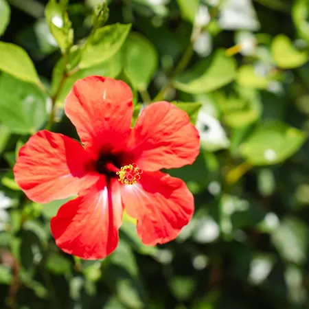 Charming With Private Pool By Lovelystay *