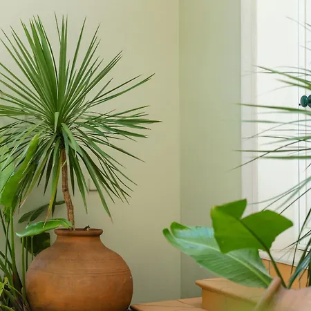 Charming With Private Pool By Lovelystay Willa Albufeira