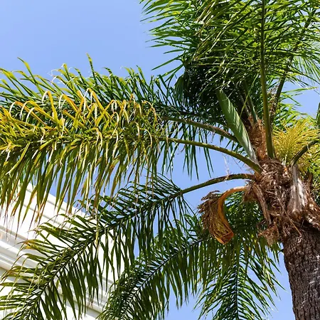 Charming With Private Pool By Lovelystay Willa *